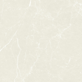 Gạch giả đá mờ 60x120 cm 612MB00T