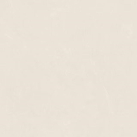 Gạch giả đá 60x120 cm 612PG08T