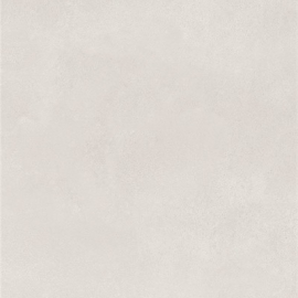 Gạch giả đá mờ 60x120 cm 612MA19T