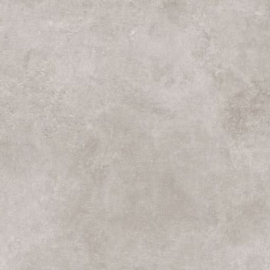 Gạch giả đá mờ 60X120 cm 62T6202