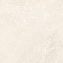Gạch giả đá 60x120 cm 612MG01T