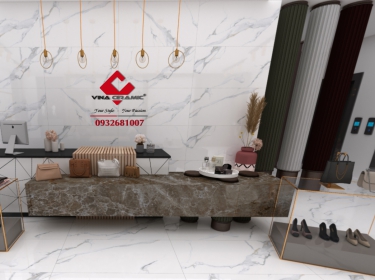 Gạch ốp tường Xương Trắng (White Body) - Vina Ceramic